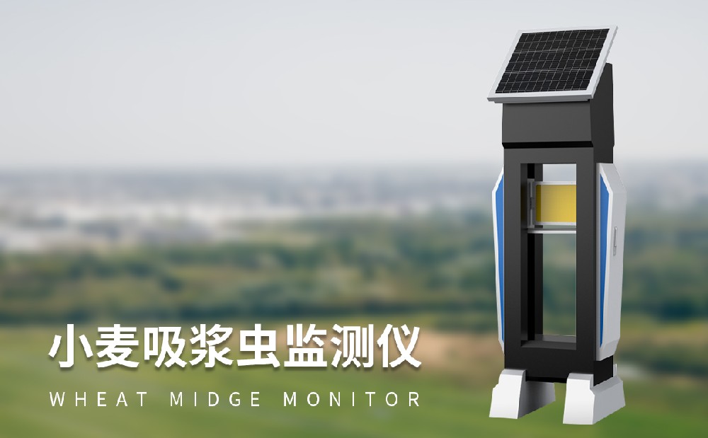 使用小麥吸漿蟲監(jiān)測儀